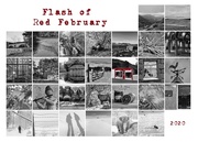 1st Mar 2020 - Flash of Red February
