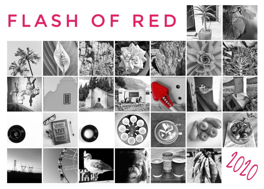 Flash of Red 2020  by salza