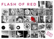 1st Mar 2020 - Flash of Red 2020 