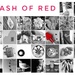 Flash of Red 2020  by salza