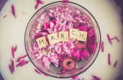 1st Mar 2020 - March