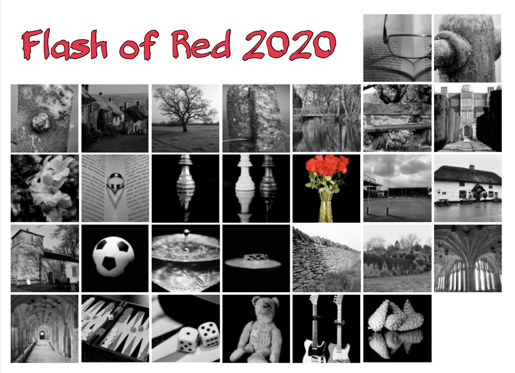Flash Of Red 2020 by phil_sandford