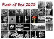 1st Mar 2020 - Flash Of Red 2020