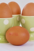 1st Mar 2020 - An Eggcellent Breakfast....