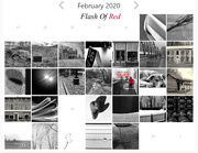 29th Feb 2020 - Flash Of Red 2020