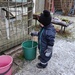 Sisu is stirring water in the bucket. by annelis