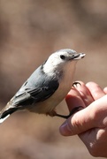 29th Feb 2020 - At the bird sanctuary