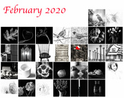 1st Mar 2020 - February 2020 flash of red