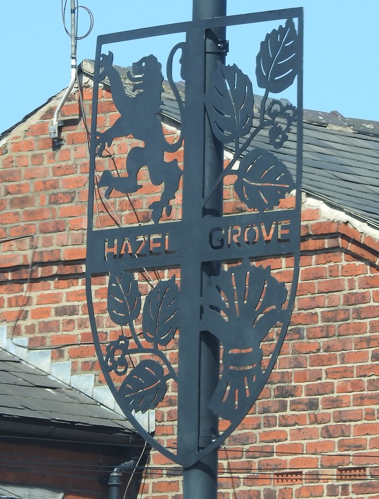 Hazel Grove  by oldjosh