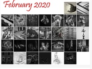 1st Mar 2020 - FoR2020