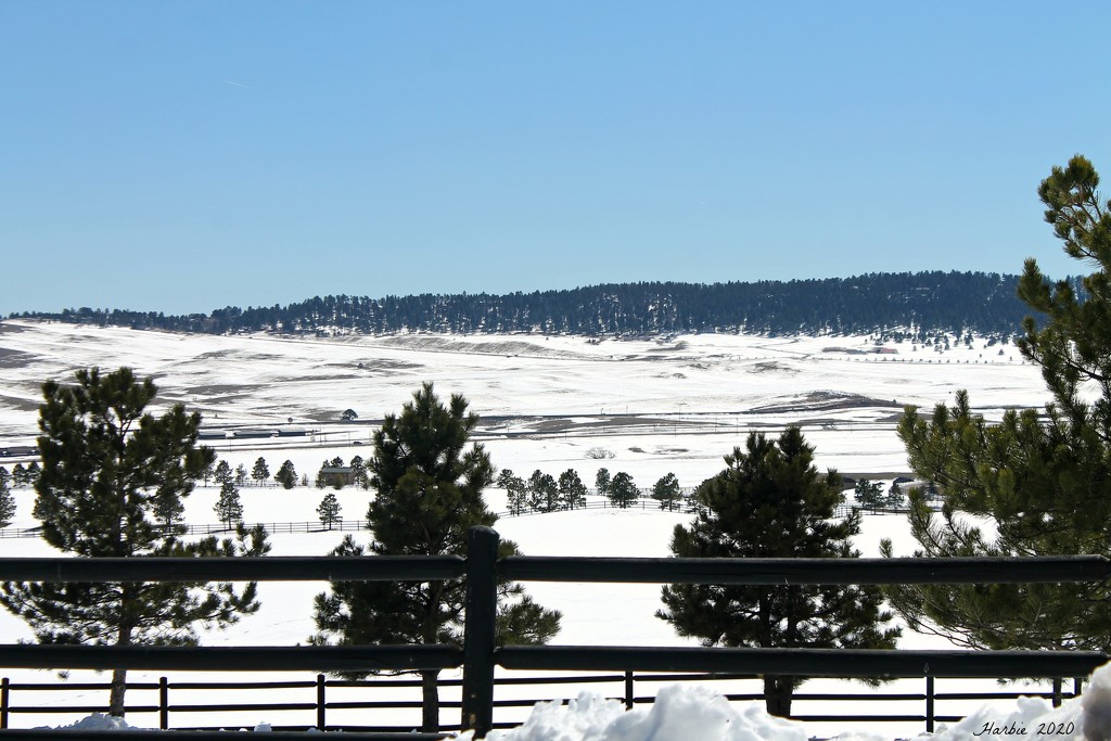 Snowy Vista by harbie