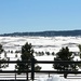 Snowy Vista by harbie