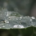 Raindrops #1 by kgolab