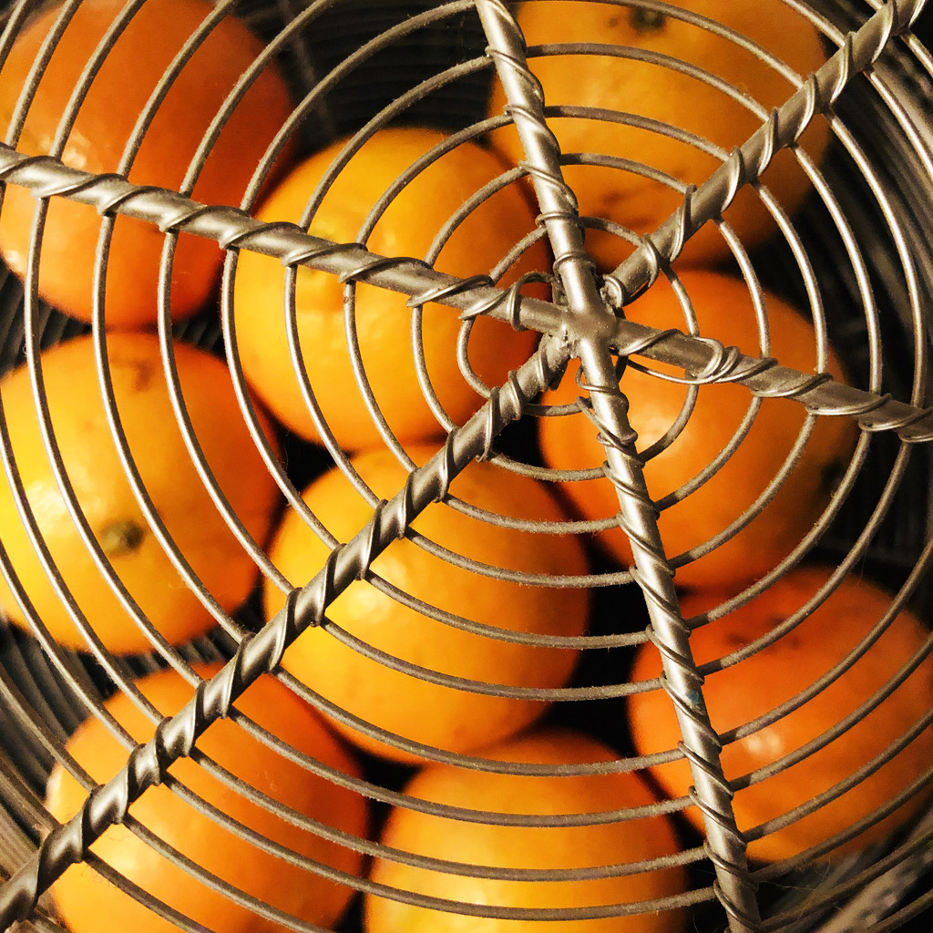 Oranges In A Basket by yogiw