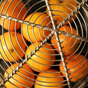 3rd Mar 2020 - Oranges In A Basket