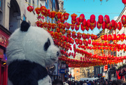 2nd Mar 2020 - I'm in Chinatown, bear with me