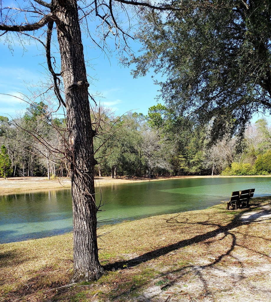 Aiken State Park by owensaf08