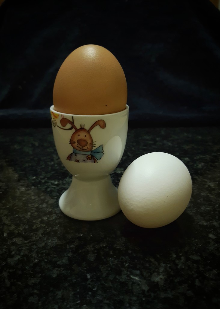 Eggs  by salza