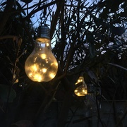 2nd Mar 2020 - First solar lights of the year