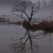 Beautiful Foggy Morning at the Lagoon by brillomick