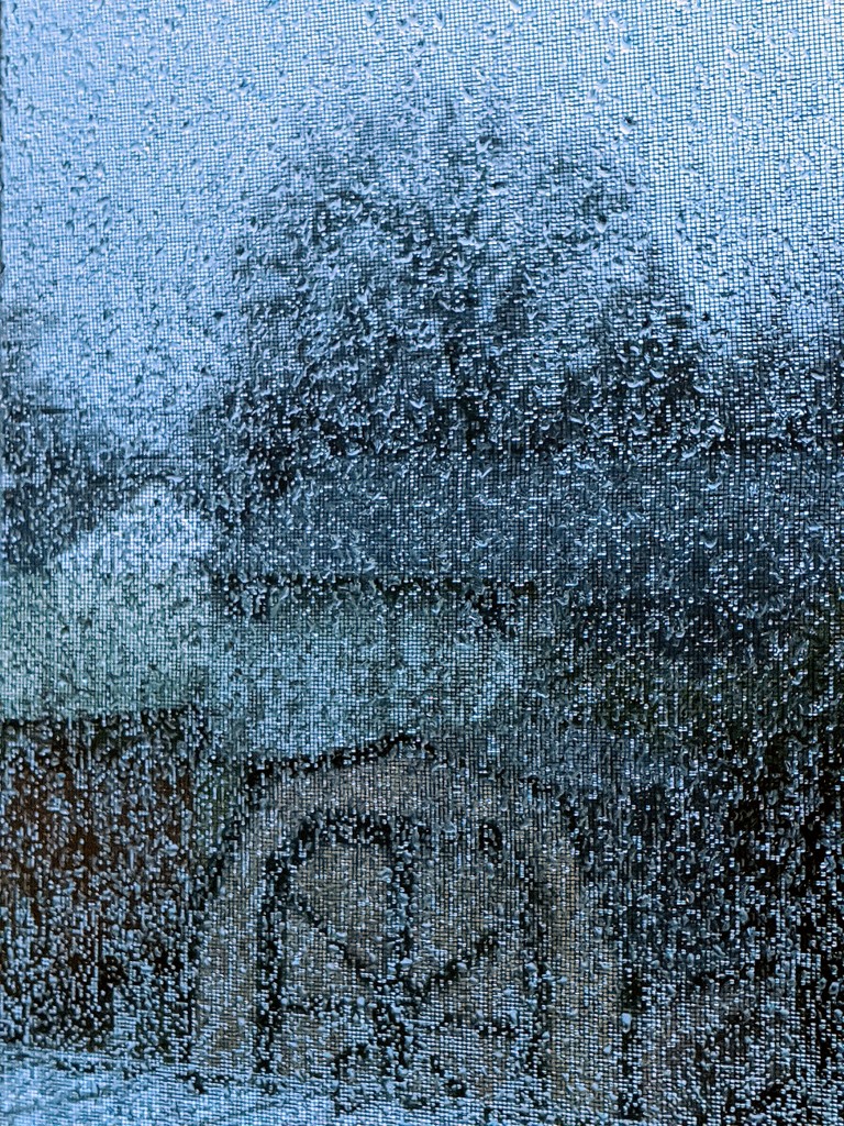 Morning Rain by photogypsy