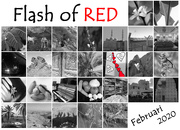 29th Feb 2020 - Flash of Red Calendar