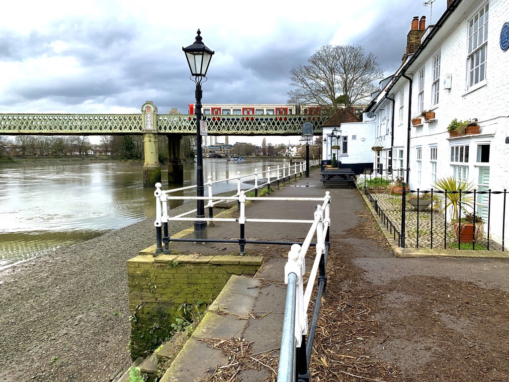 The Thames at Chiswick  by 365nick