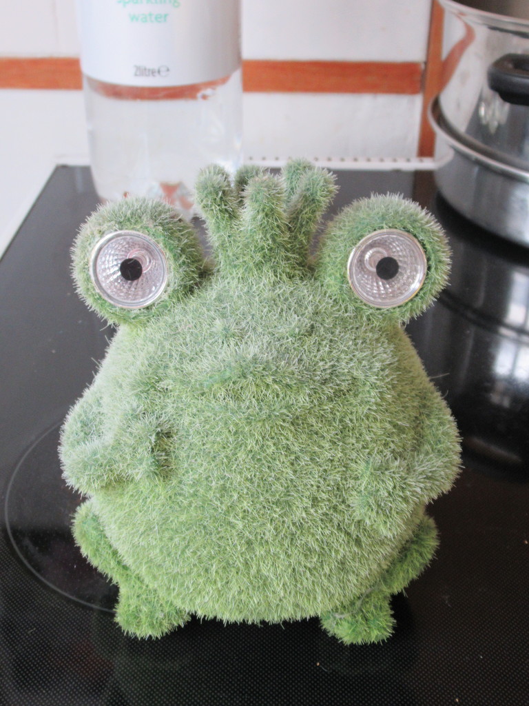 I have got a new frog by anniesue