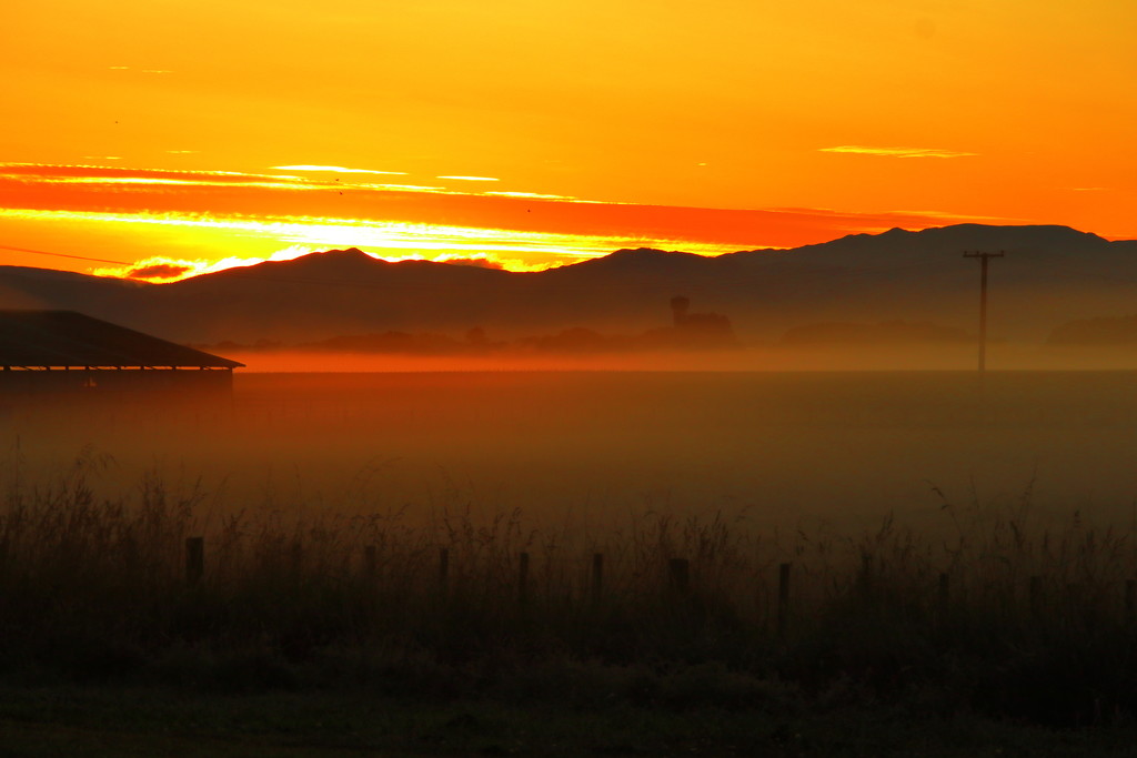 Misty morning by suez1e