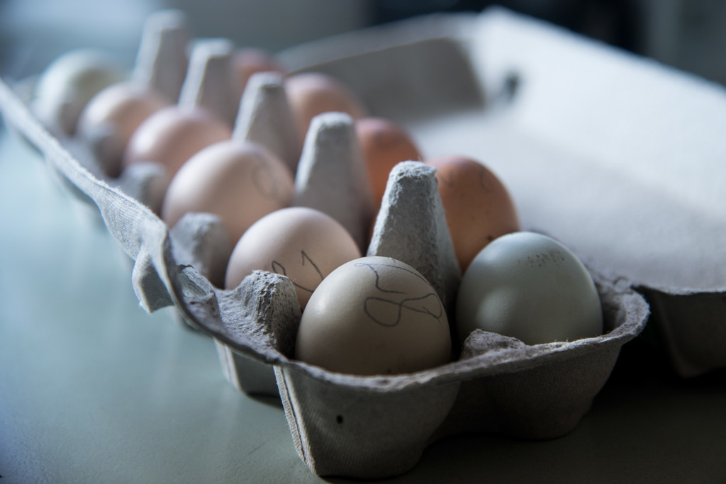 Cholena's eggs by jeneurell