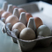 Cholena's eggs by jeneurell