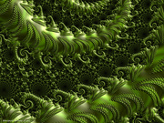 5th Mar 2020 - Green fronds