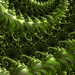 Green fronds by craftymeg