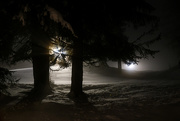 5th Mar 2020 - Snow at night