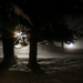 Snow at night by caterina