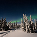 Aurora Borealis, Alaska  by dridsdale