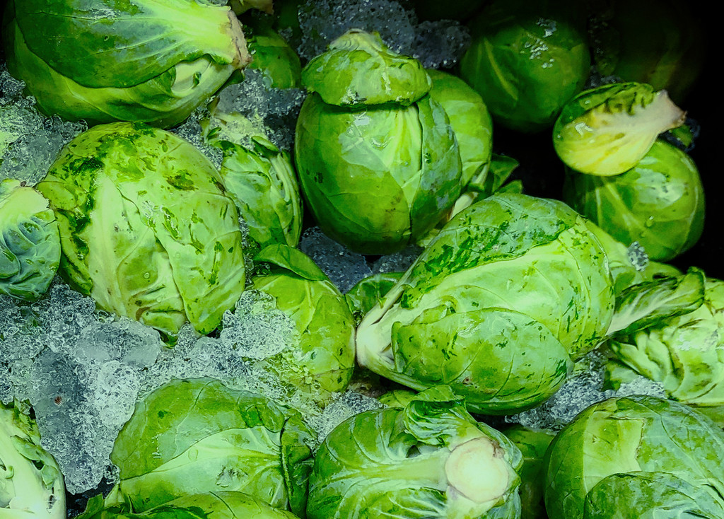 Brussels sprouts on Ice by gardencat