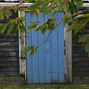 6th Mar 2020 - blue door