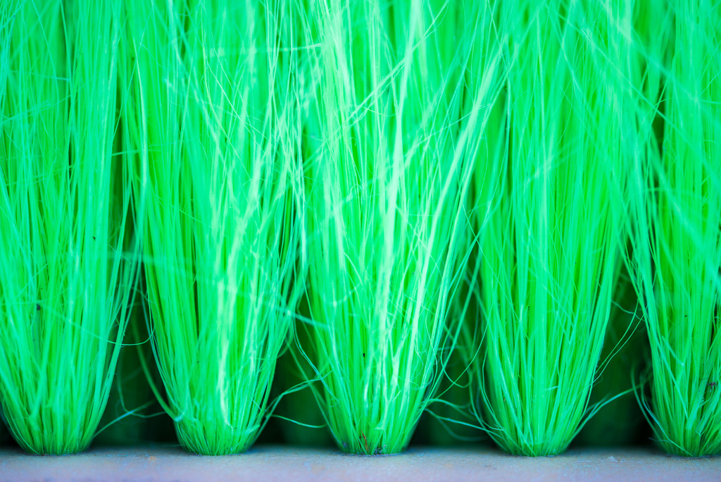 Green Broom by kwind