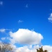 Blue Sky by serendypyty