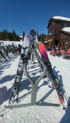 3rd Mar 2020 - Skis