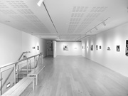 17th Feb 2020 - Empty gallery