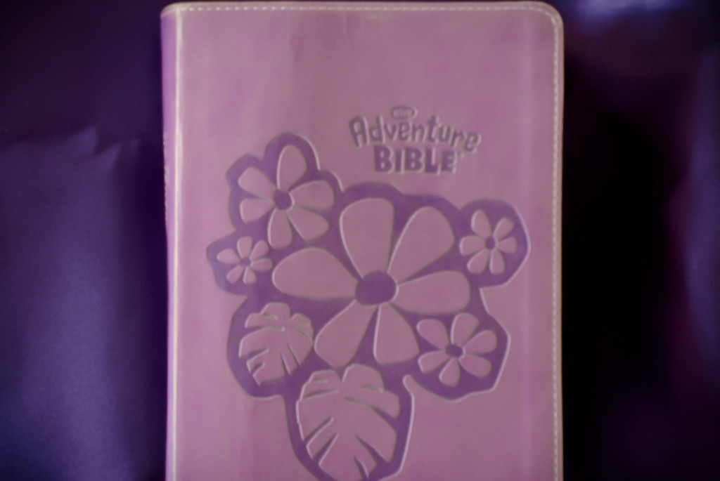 Purple Adventure Bible by bjywamer