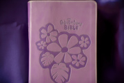 7th Mar 2020 - Purple Adventure Bible