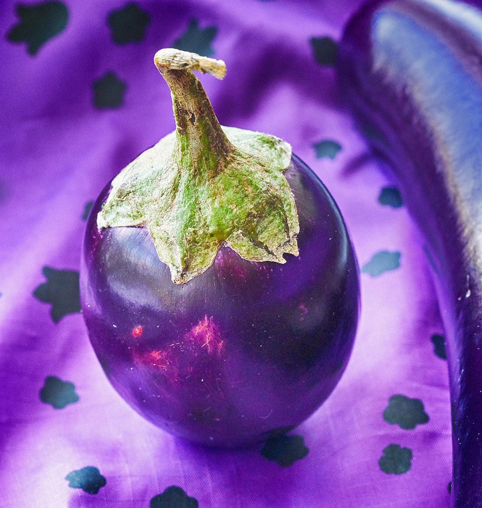 Indian Eggplant by gardencat