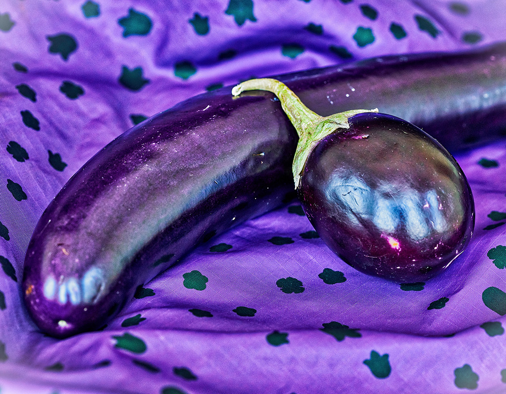 Indian Eggplant Meet Chinese Eggplant  by gardencat