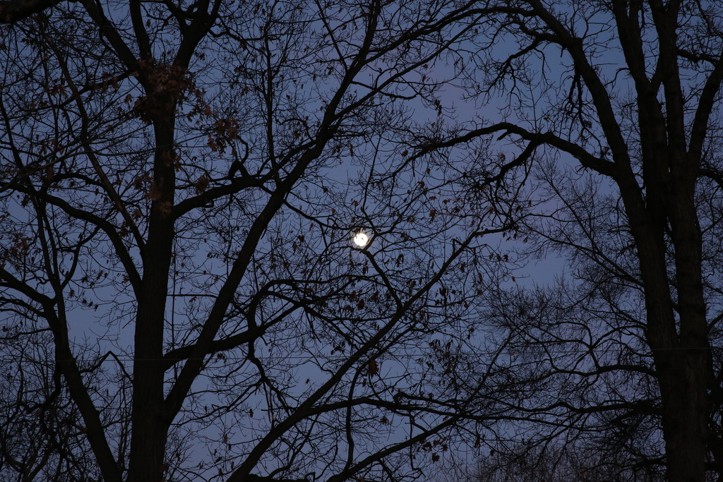 la luna... by earthbeone