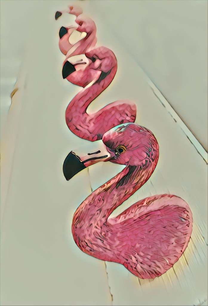 Flamingo coat hooks anyone?  by louannwarren