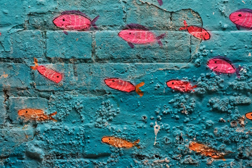 Wall aquarium by 4rky