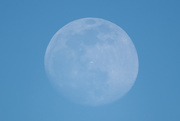 7th Mar 2020 - Not A Great Moon Shot